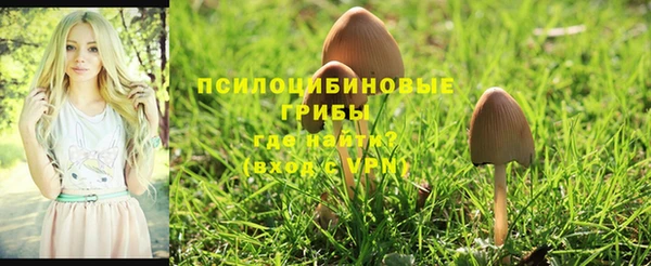 амфетамин Алзамай
